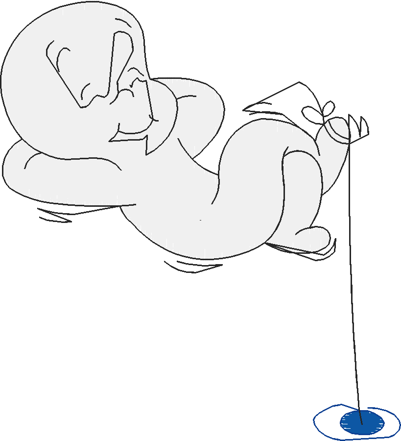 Casper (3)